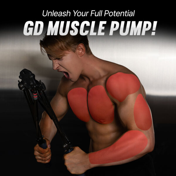 GD MUSCLE PUMP AUTO Upper Body Exerciser Workout Device Chest Expander (15~40kg Adjustable) - Image 3