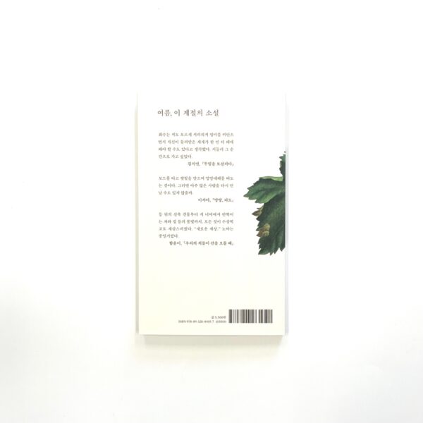 소설 보다 : 여름 2025 [Reading Novels: Summer 2025] - Image 2